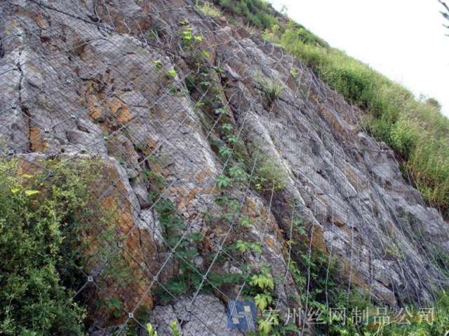 sns主動(dòng)防護(hù)網(wǎng)--04